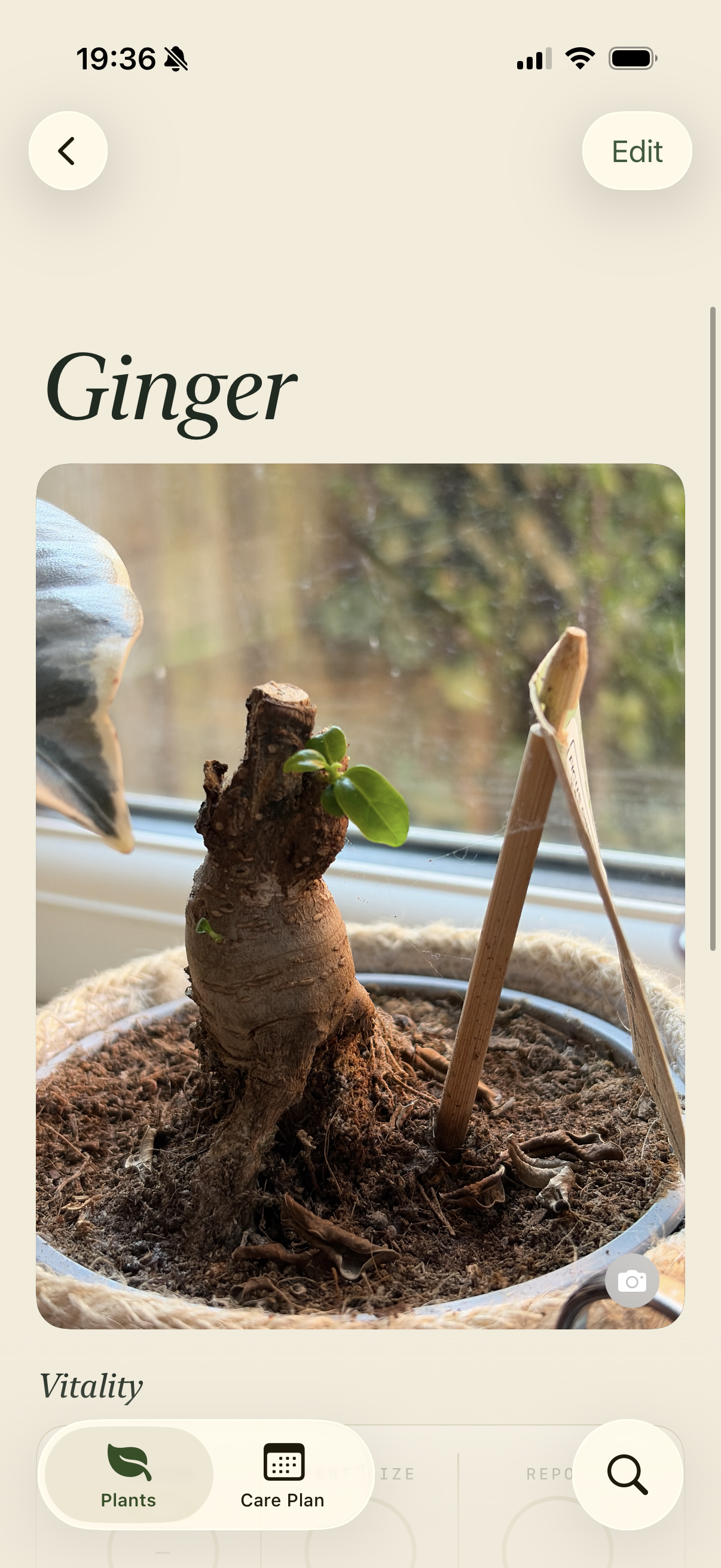 A plant's page